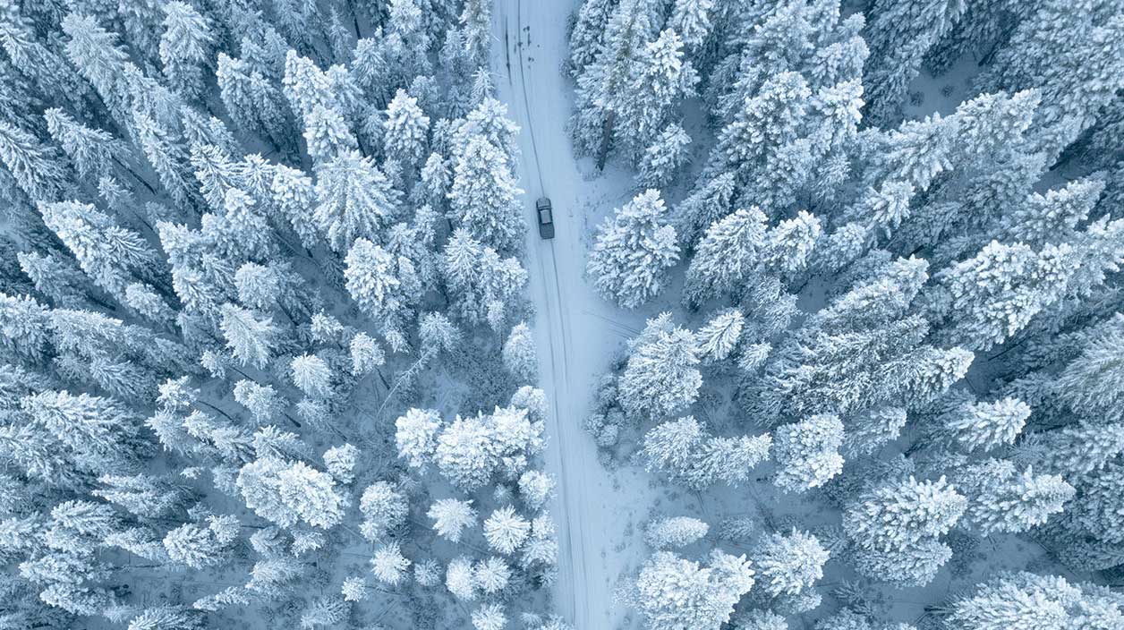 proteger-sa-voiture-du-froid-7