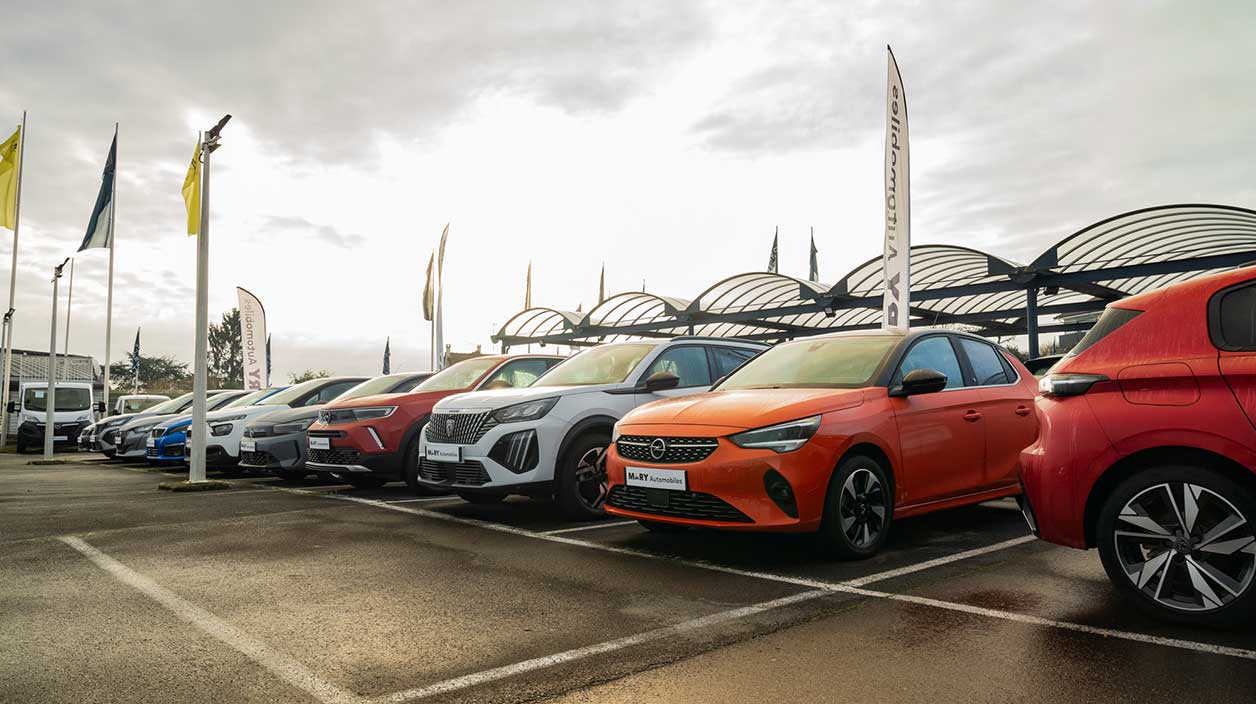 Une flotte de voitures de fonction Opel