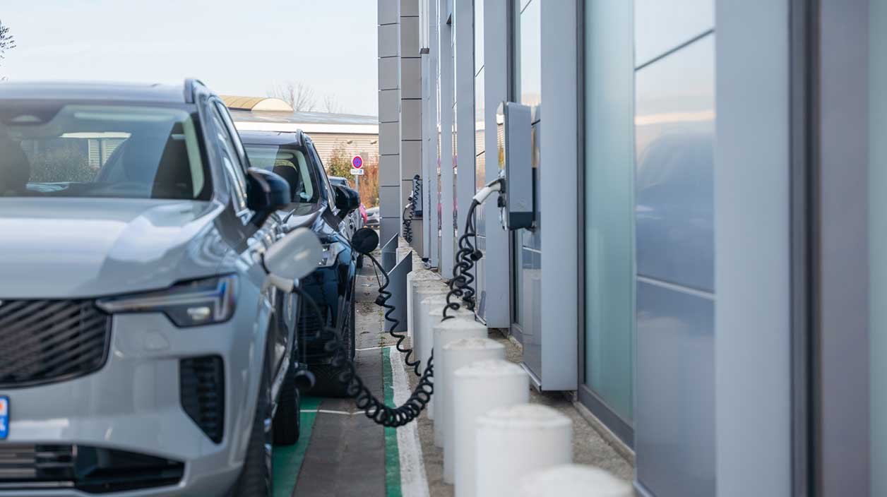 Des véhicules dans une concession qui rechargent leur batterie