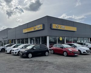 Opel Bernay
